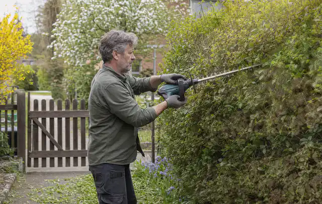 Person schneidet eine Gartenhecke mit einem motorisierten Gartengerät; Thema Freischneider, Schwerpunkt Sicherheit; Ergebnis.