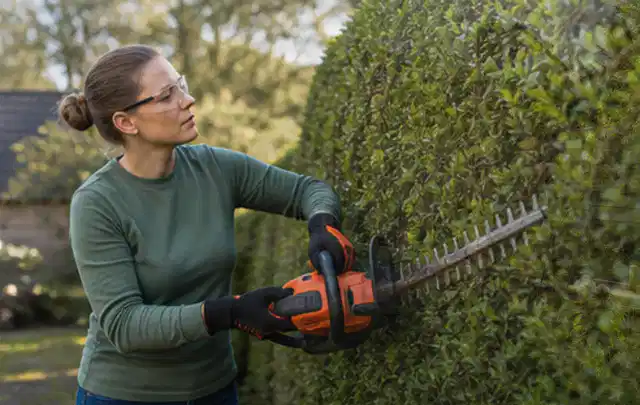 Person schneidet eine dichte Gartenhecke mit Schutzbrille und sicherem Stand; Thema Freischneider, Schwerpunkt Systemvergleich; Kontrolle.
