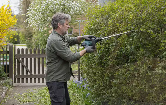 Person schneidet eine Gartenhecke mit einem motorisierten Gartengerät; Thema Freischneider, Schwerpunkt Systemvergleich; Praxisalltag.