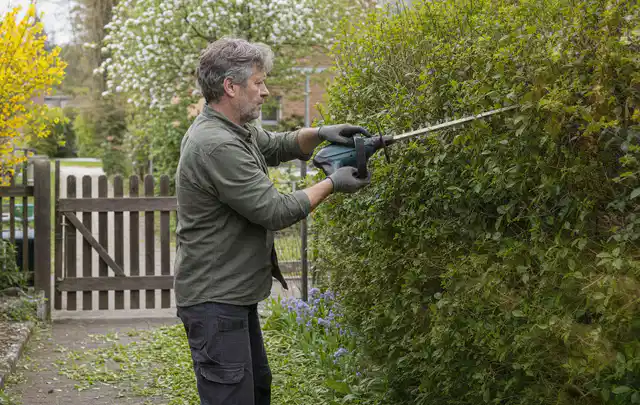 Person schneidet eine Gartenhecke mit einem motorisierten Gartengerät; Thema Freischneider, Schwerpunkt Testkriterien; Ergebnis.