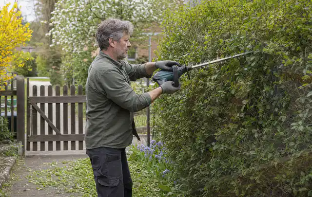 Person schneidet eine Gartenhecke mit einem motorisierten Gartengerät; Thema Freischneider, Schwerpunkt Wartung; Kontrolle.