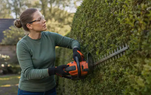 Person schneidet eine dichte Gartenhecke mit Schutzbrille und sicherem Stand; Thema Freischneider, Schwerpunkt Wartung; Praxisalltag.
