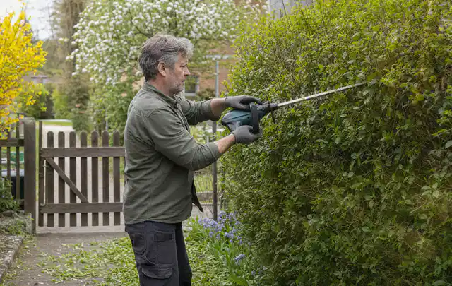 Person schneidet eine Gartenhecke mit einem motorisierten Gartengerät; Thema Freischneider, Schwerpunkt Winterlager; Kontrolle.