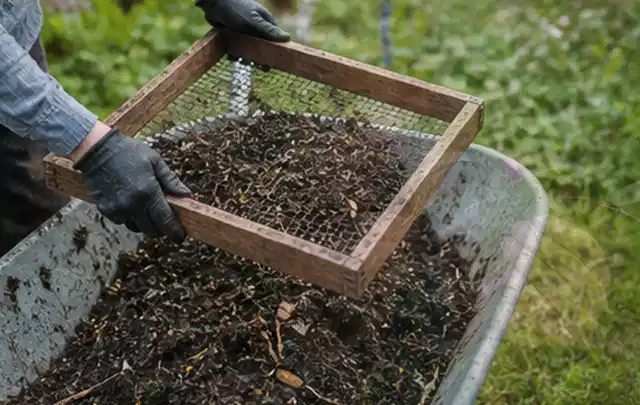 Behandschuhte Hände sieben reifen Kompost über einer Gartenschubkarre; Thema Frühbeet Aufsatz, Schwerpunkt DIY; Praxisalltag.