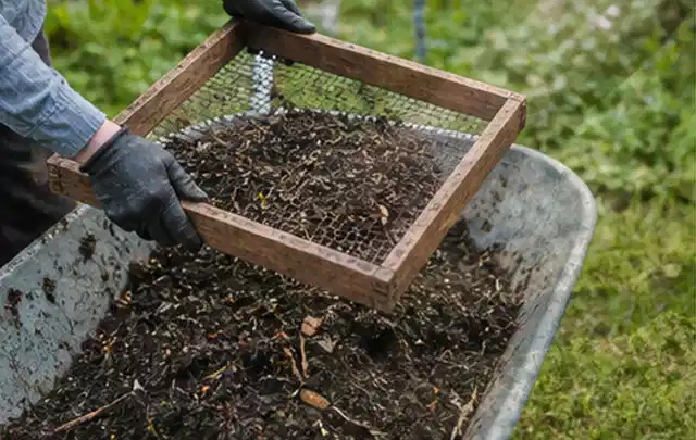 Behandschuhte Hände sieben reifen Kompost über einer Gartenschubkarre; Thema Frühbeet Aufsatz, Schwerpunkt Fehlerhilfe; Kontrolle.