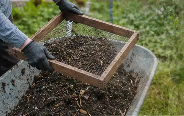 Behandschuhte Hände sieben reifen Kompost über einer Gartenschubkarre; Thema Frühbeet Aufsatz, Schwerpunkt Gärten mit kleiner Fläche; Kontrolle.