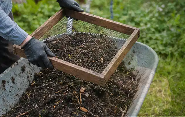 Behandschuhte Hände sieben reifen Kompost über einer Gartenschubkarre; Thema Frühbeet Aufsatz, Schwerpunkt Materialwahl; Kontrolle.