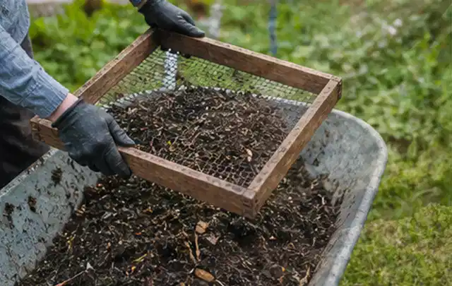 Behandschuhte Hände sieben reifen Kompost über einer Gartenschubkarre; Thema Frühbeet Aufsatz, Schwerpunkt Winterschutz; Ausgangslage.