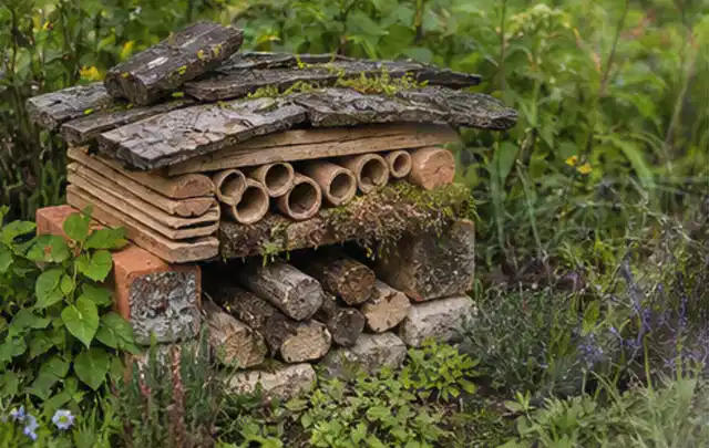 Naturnaher Unterschlupf aus Holz Rinde und Pflanzenstängeln im Garten; Thema Gabionen, Schwerpunkt Dimensionierung; Ergebnis.
