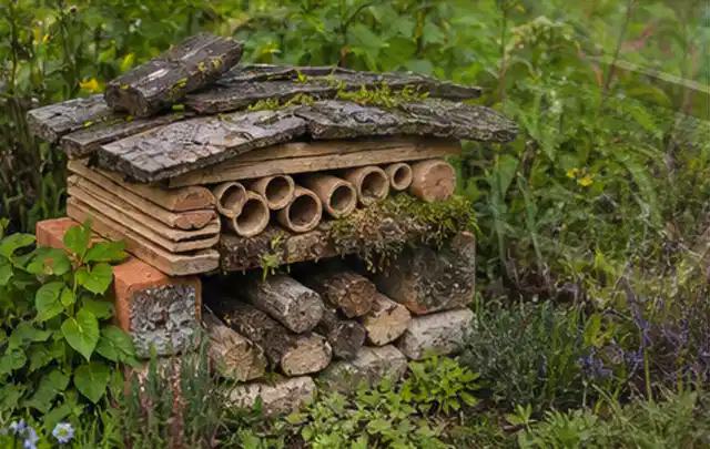Naturnaher Unterschlupf aus Holz Rinde und Pflanzenstängeln im Garten; Thema Gabionen, Schwerpunkt Kosten; Kontrolle.