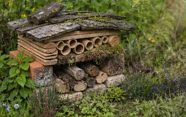 Naturnaher Unterschlupf aus Holz Rinde und Pflanzenstängeln im Garten; Thema Gabionen, Schwerpunkt Nachhaltigkeit; Umsetzung.