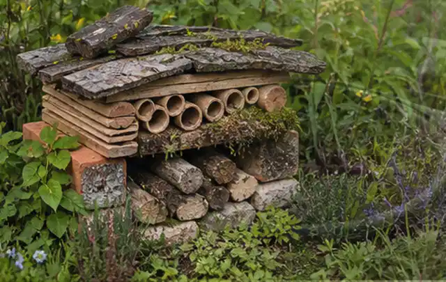 Naturnaher Unterschlupf aus Holz Rinde und Pflanzenstängeln im Garten; Thema Gabionen, Schwerpunkt Planung; Ergebnis.
