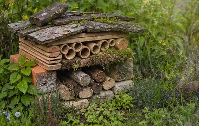 Naturnaher Unterschlupf aus Holz Rinde und Pflanzenstängeln im Garten; Thema Gabionen, Schwerpunkt Standort; Ergebnis.