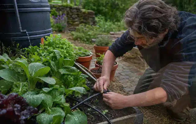 Person stellt die Bewässerung an einem bepflanzten Hochbeet ein; Thema Gardena Bewässerung, Schwerpunkt Anwendung; Kontrolle.