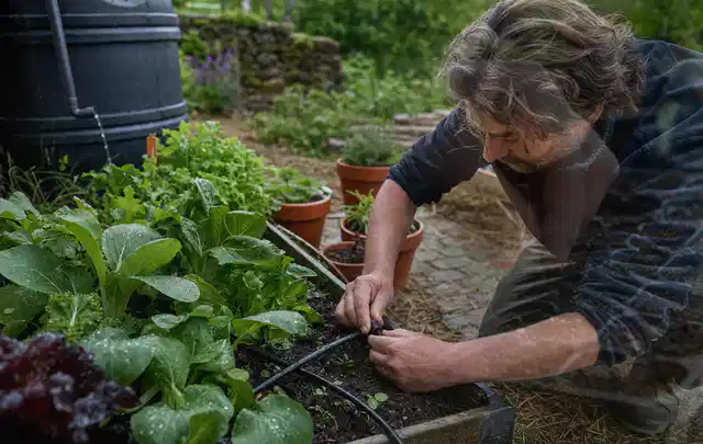 Person stellt die Bewässerung an einem bepflanzten Hochbeet ein; Thema Gardena Bewässerung, Schwerpunkt Dimensionierung; Kontrolle.