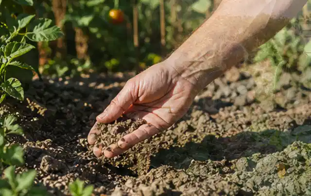 Hand prüft trockene krümelige Gartenerde während einer warmen Sommerphase; Thema Gardena Bewässerung, Schwerpunkt Dimensionierung; Ergebnis.