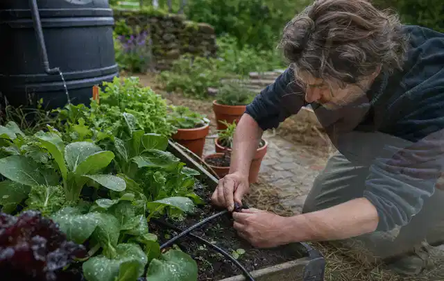 Person stellt die Bewässerung an einem bepflanzten Hochbeet ein; Thema Gardena Bewässerung, Schwerpunkt Fehlerhilfe; Kontrolle.
