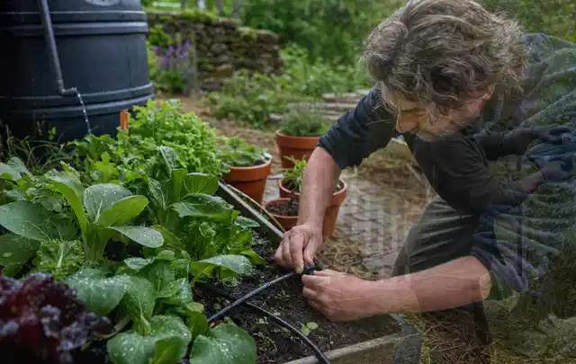 Person stellt die Bewässerung an einem bepflanzten Hochbeet ein; Thema Gardena Bewässerung, Schwerpunkt Gärten mit kleiner Fläche; Kontrolle.