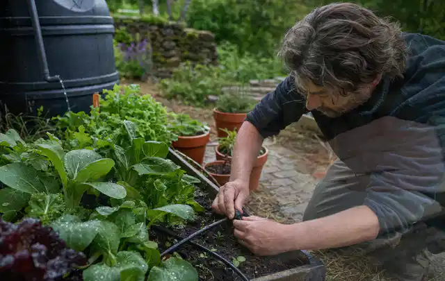 Person stellt die Bewässerung an einem bepflanzten Hochbeet ein; Thema Gardena Bewässerung, Schwerpunkt Kaufberatung; Ausgangslage.