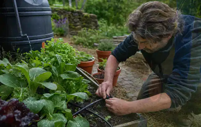Person stellt die Bewässerung an einem bepflanzten Hochbeet ein; Thema Gardena Bewässerung, Schwerpunkt Kosten; Ergebnis.
