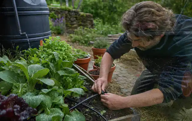 Person stellt die Bewässerung an einem bepflanzten Hochbeet ein; Thema Gardena Bewässerung, Schwerpunkt Leistung; Ergebnis.