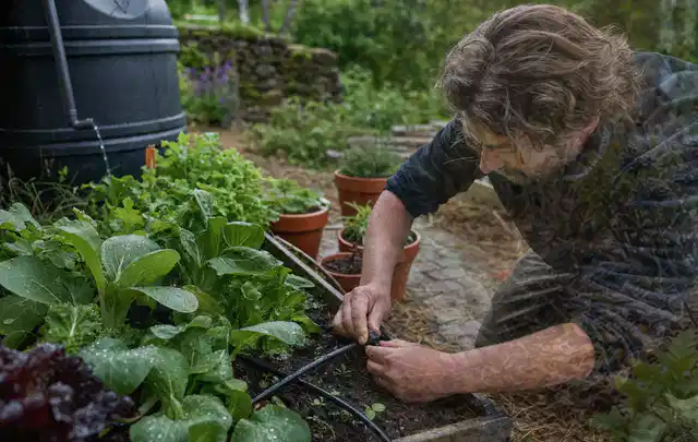 Person stellt die Bewässerung an einem bepflanzten Hochbeet ein; Thema Gardena Bewässerung, Schwerpunkt Nachhaltigkeit; Kontrolle.