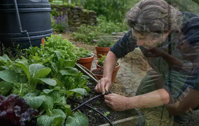 Person stellt die Bewässerung an einem bepflanzten Hochbeet ein; Thema Gardena Bewässerung, Schwerpunkt Reinigung; Umsetzung.