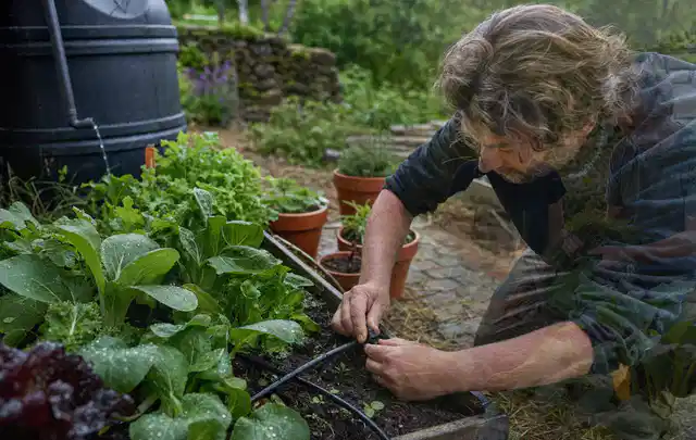 Person stellt die Bewässerung an einem bepflanzten Hochbeet ein; Thema Gardena Bewässerung, Schwerpunkt Reparatur; Ausgangslage.