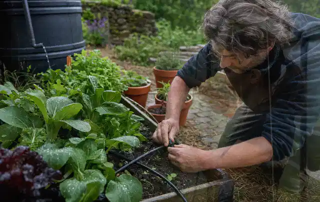 Person stellt die Bewässerung an einem bepflanzten Hochbeet ein; Thema Gardena Bewässerung, Schwerpunkt Sicherheit; Praxisalltag.