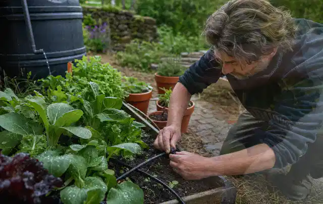Person stellt die Bewässerung an einem bepflanzten Hochbeet ein; Thema Gardena Bewässerung, Schwerpunkt Testkriterien; Kontrolle.