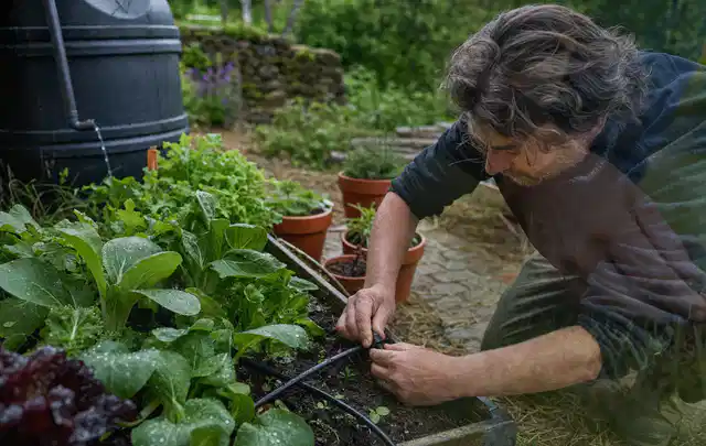 Person stellt die Bewässerung an einem bepflanzten Hochbeet ein; Thema Gardena Bewässerung, Schwerpunkt Vergleich; Umsetzung.