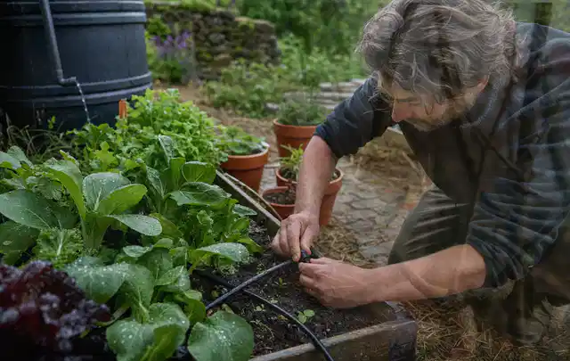 Person stellt die Bewässerung an einem bepflanzten Hochbeet ein; Thema Gardena Bewässerung, Schwerpunkt Wartung; Ausgangslage.