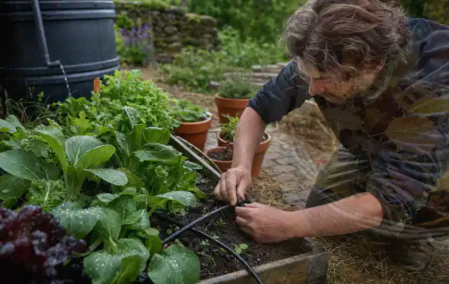 Person stellt die Bewässerung an einem bepflanzten Hochbeet ein; Thema Gardena Bewässerung, Schwerpunkt Winterlager; Praxisalltag.