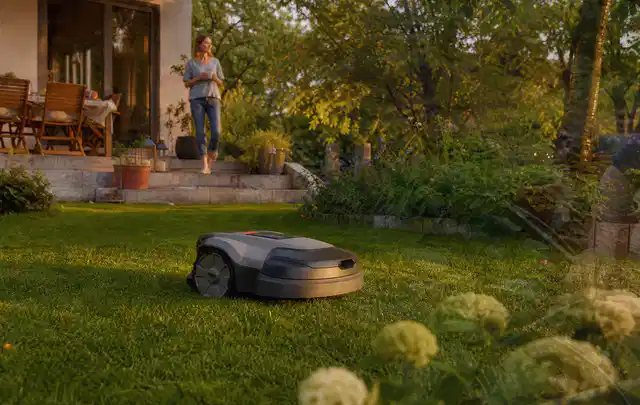 Mähroboter fährt am Abend über einen Rasen im Familiengarten; Thema Gardena Sileno, Schwerpunkt Anwendung; Ergebnis.