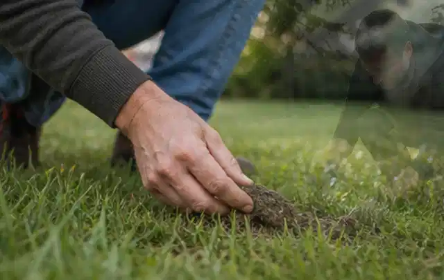 Hand hebt eine kleine Bodenprobe aus einer grünen Rasenfläche; Thema Gardena Sileno, Schwerpunkt Anwendung; Praxisalltag.