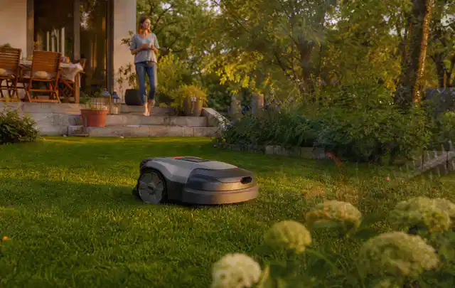 Mähroboter fährt am Abend über einen Rasen im Familiengarten; Thema Gardena Sileno, Schwerpunkt Bestenliste; Praxisalltag.