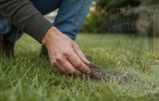 Hand hebt eine kleine Bodenprobe aus einer grünen Rasenfläche; Thema Gardena Sileno, Schwerpunkt Dimensionierung; Kontrolle.