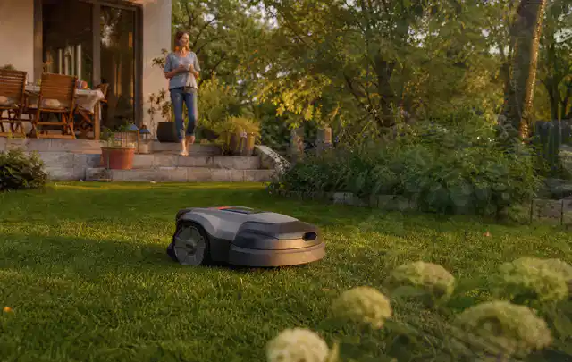 Mähroboter fährt am Abend über einen Rasen im Familiengarten; Thema Gardena Sileno, Schwerpunkt Gärten mit großer Fläche; Ergebnis.