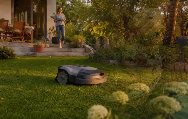 Mähroboter fährt am Abend über einen Rasen im Familiengarten; Thema Gardena Sileno, Schwerpunkt Kaufberatung; Umsetzung.