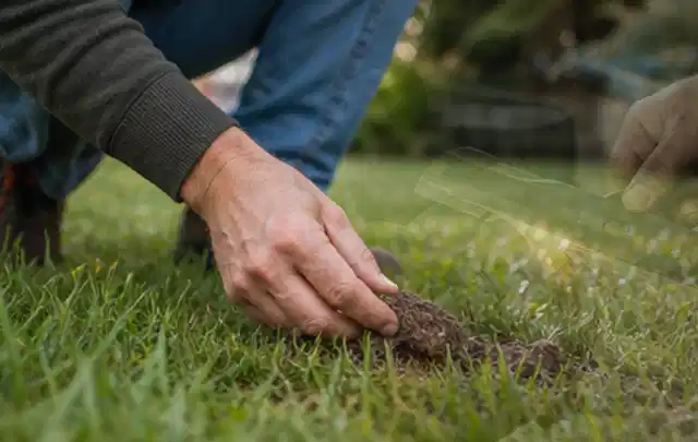 Hand hebt eine kleine Bodenprobe aus einer grünen Rasenfläche; Thema Gardena Sileno, Schwerpunkt Mähroboter; Ergebnis.