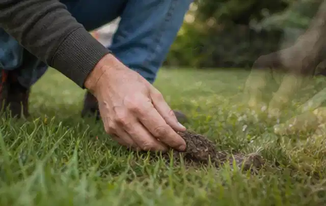 Hand hebt eine kleine Bodenprobe aus einer grünen Rasenfläche; Thema Gardena Sileno, Schwerpunkt Reinigung; Ergebnis.