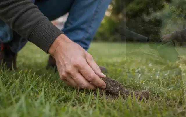 Hand hebt eine kleine Bodenprobe aus einer grünen Rasenfläche; Thema Gardena Sileno, Schwerpunkt Sicherheit; Ergebnis.