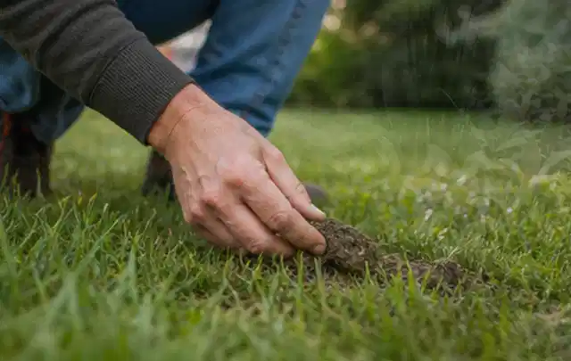 Hand hebt eine kleine Bodenprobe aus einer grünen Rasenfläche; Thema Gardena Sileno, Schwerpunkt Systemvergleich; Kontrolle.