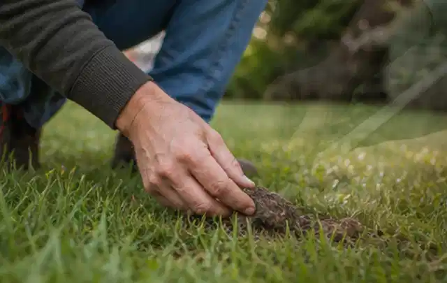 Hand hebt eine kleine Bodenprobe aus einer grünen Rasenfläche; Thema Gardena Sileno, Schwerpunkt Testkriterien; Kontrolle.