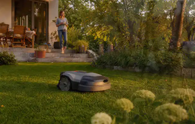 Mähroboter fährt am Abend über einen Rasen im Familiengarten; Thema Gardena Sileno, Schwerpunkt Winterlager; Ergebnis.