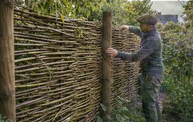 Person befestigt geflochtene Weidenruten an stabilen Holzpfosten im Garten; Thema Garten am Neubau, Schwerpunkt Checkliste; Ergebnis.