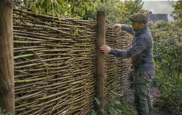 Person befestigt geflochtene Weidenruten an stabilen Holzpfosten im Garten; Thema Garten am Neubau, Schwerpunkt Fehlerhilfe; Praxisalltag.
