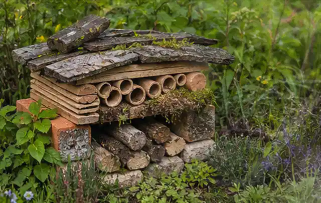 Naturnaher Unterschlupf aus Holz Rinde und Pflanzenstängeln im Garten; Thema Garten am Neubau, Schwerpunkt Privatsphäre; Kontrolle.
