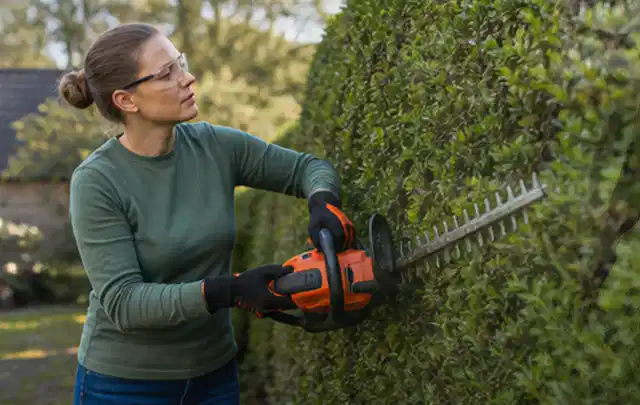 Person schneidet eine dichte Gartenhecke mit Schutzbrille und sicherem Stand; Thema Gartengeräte, Schwerpunkt Themenwelt; Umsetzung.