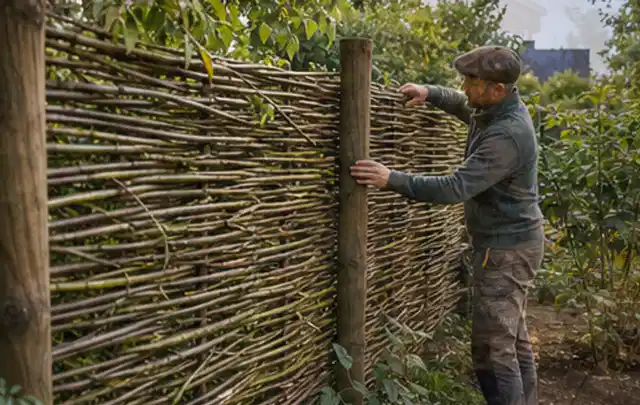 Person befestigt geflochtene Weidenruten an stabilen Holzpfosten im Garten; Thema Gartenhaus aus Holz, Schwerpunkt Planung; Ausgangslage.